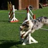 agility 2011-08